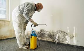 Best Environmental Consulting for Mold Prevention  in The Hideout, PA