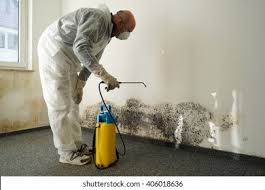 Best Asbestos and Lead Testing During Mold Inspection  in The Hideout, PA